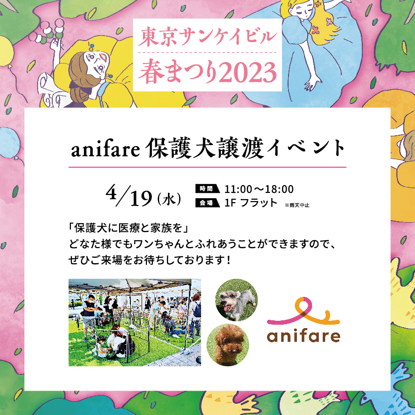 anifare保護犬譲渡イベント