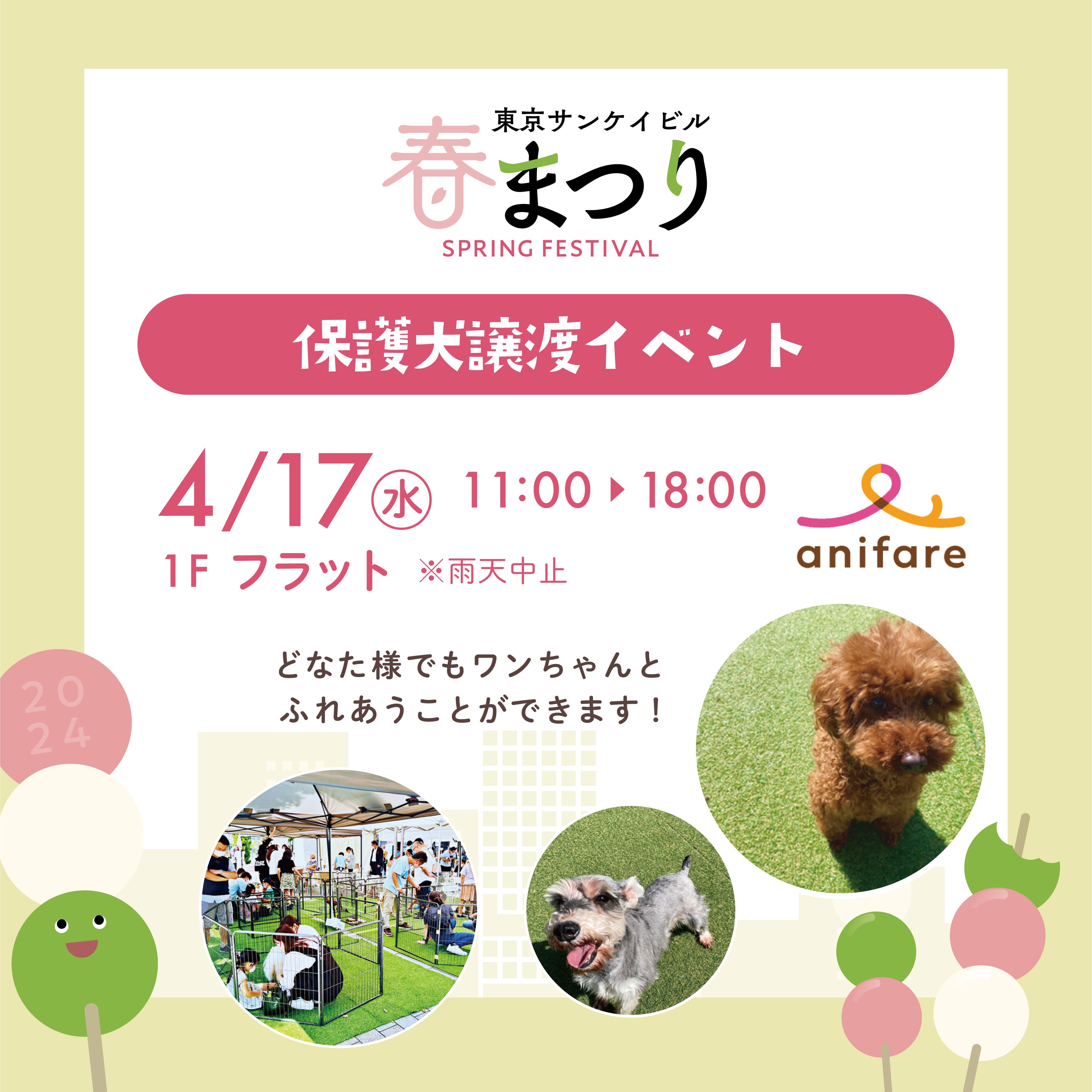 anifare保護犬譲渡イベント