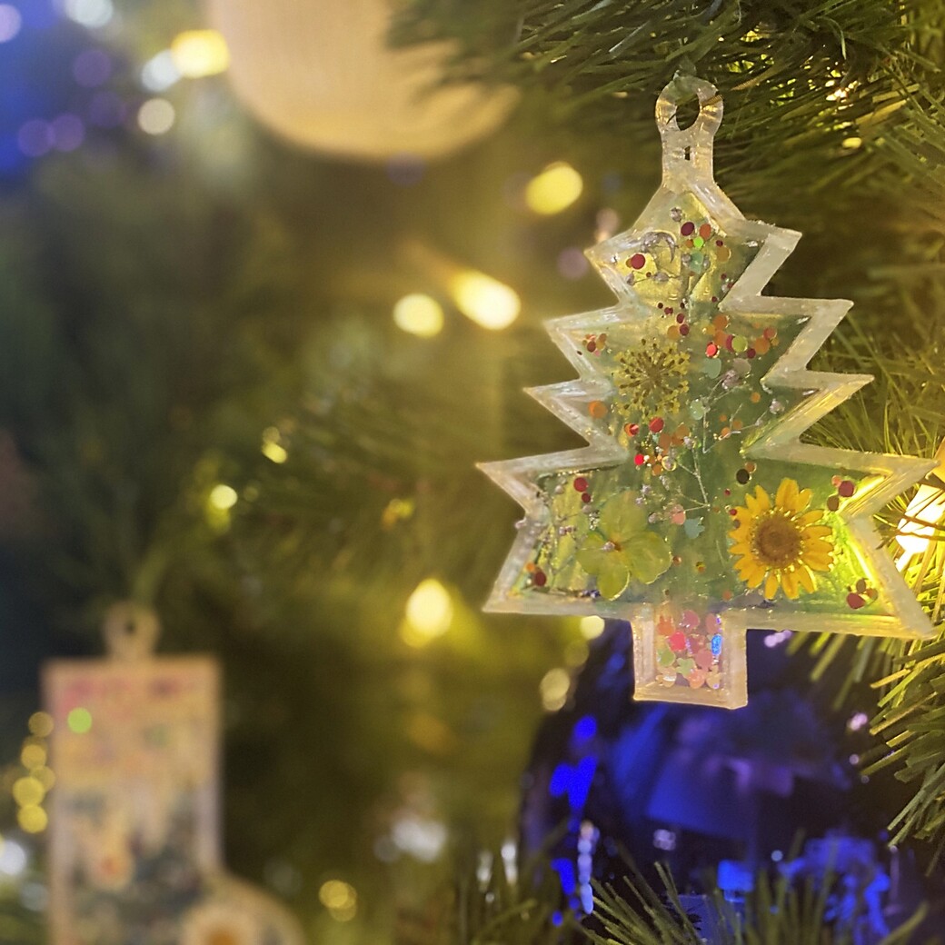 クリスマスイルミネーション 2024