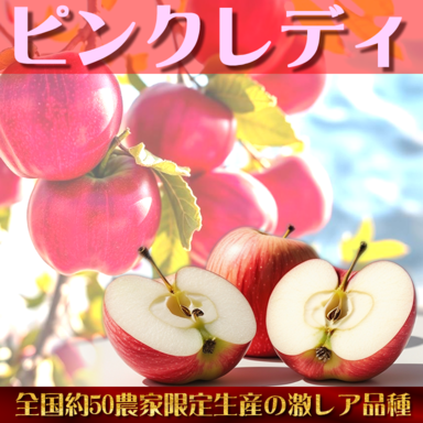 信州りんご直売会