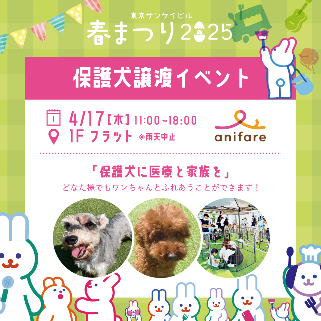 anifare 保護犬譲渡イベント