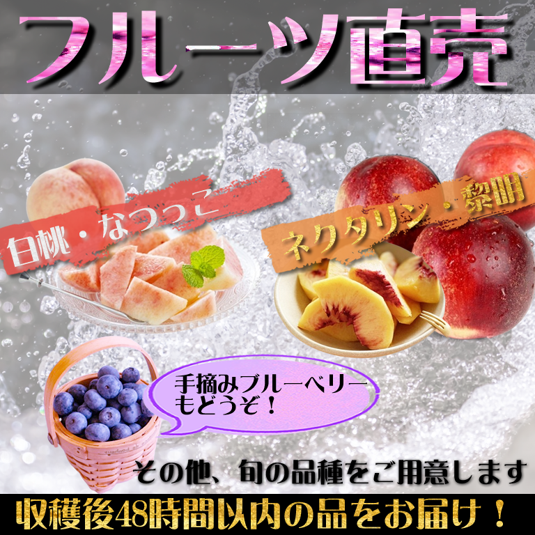 信州産 桃と夏野菜の直売会