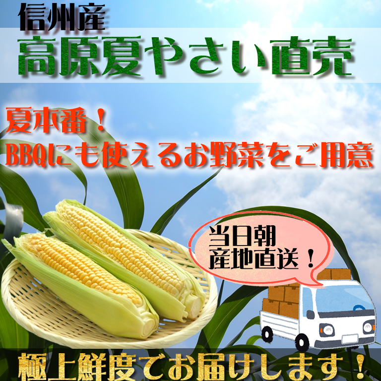 信州産 桃と夏野菜の直売会